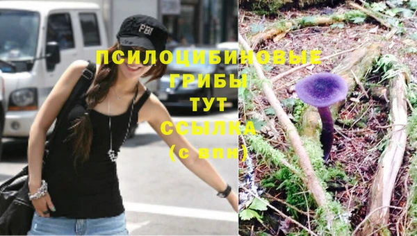 таблы Вяземский