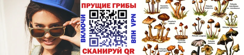 blacksprut ссылки  купить наркотики сайты  Хабаровск  Псилоцибиновые грибы ЛСД 
